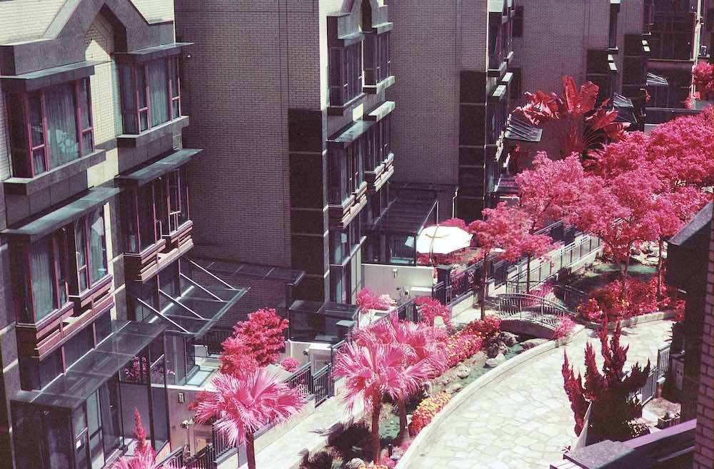 infrared color film